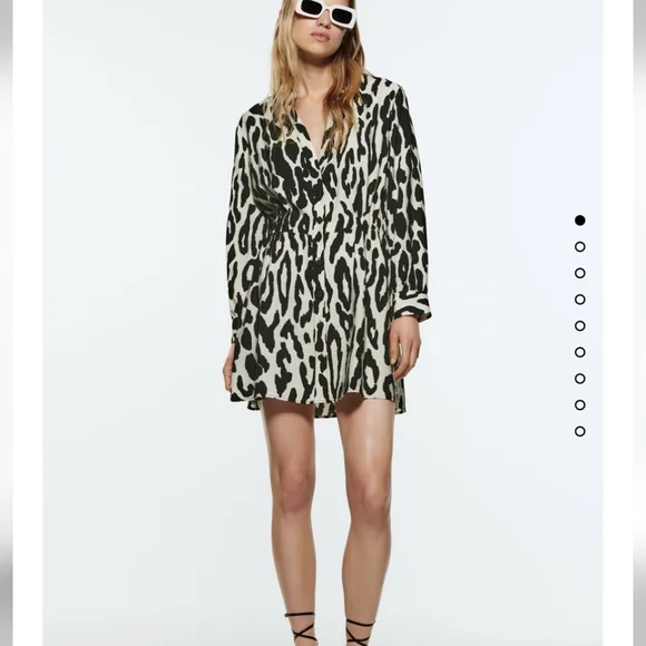 Zara Dresses Zara Animal Print Shirt Dress Bloggers Favorite